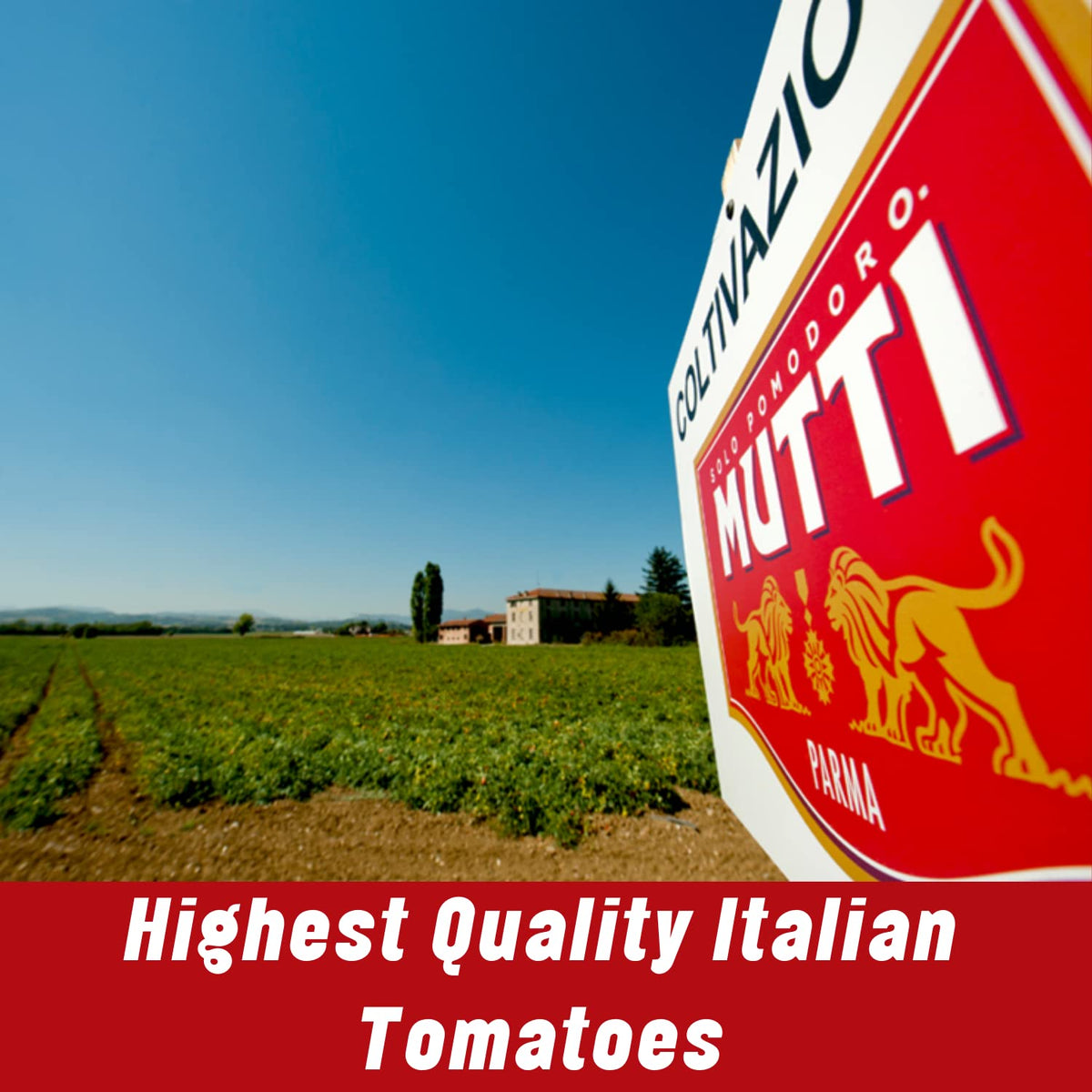 Mutti Double Concentrated Tomato Paste (Doppio Concentrato) – 4.5 oz Tube | 12 Pack | Italy’s #1 Tomato Brand | Vegan & Gluten Free