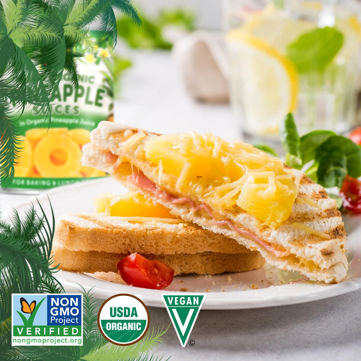 Native Forest Organic Pineapple Slices – Canned Pineapple in Own Juice, No Sugar Added (6 Pack)