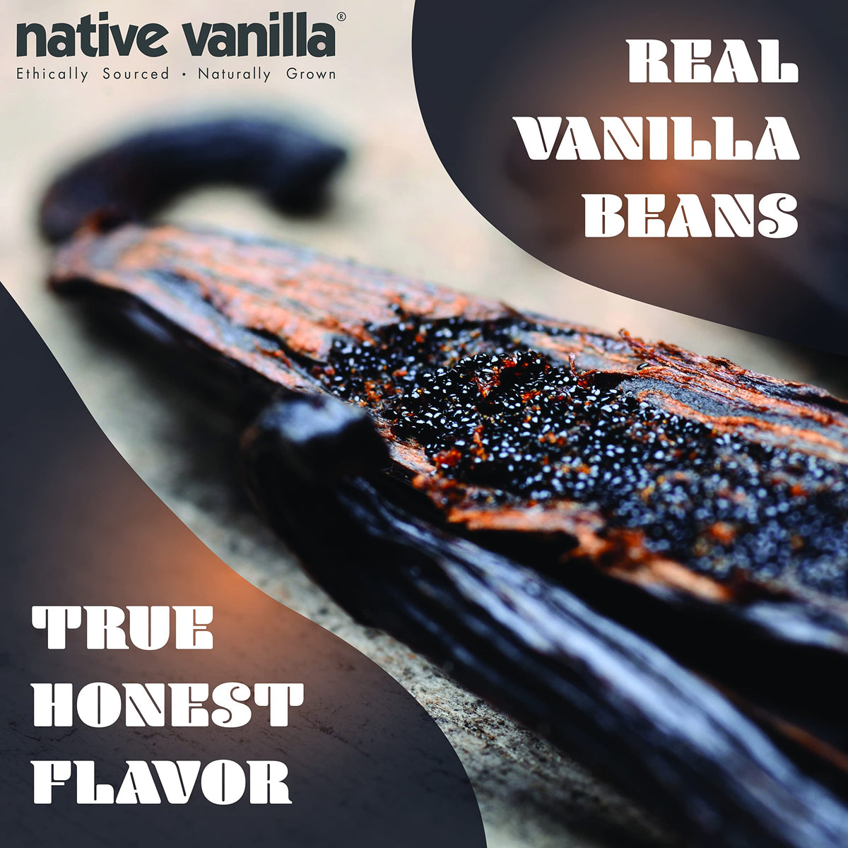 Native Vanilla: 25 Organic Madagascar Vanilla Beans – Gourmet Grade A Premium Vanilla Pods for Baking, Extracts & More
