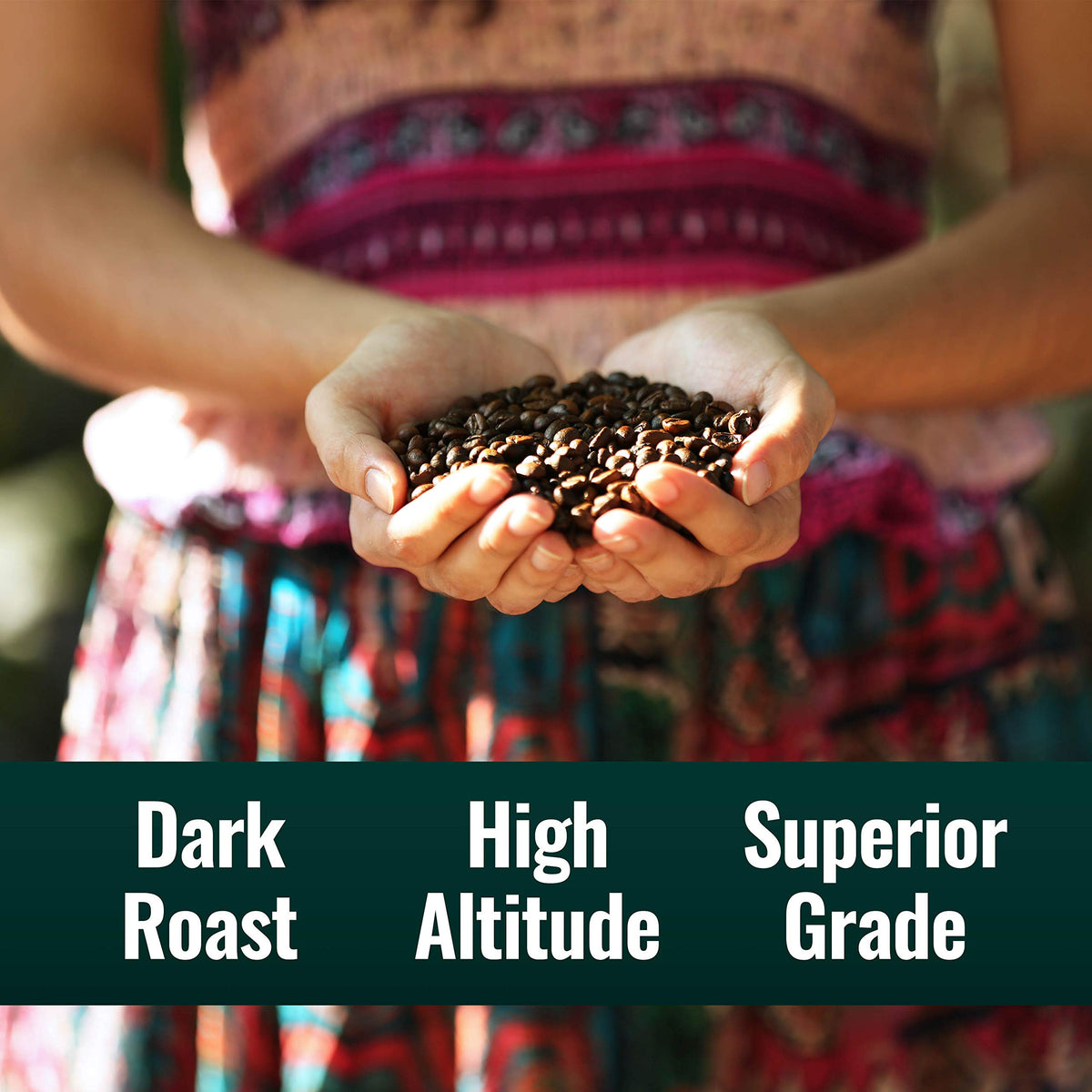 Natural Force Founder's Select Organic Mold Free Coffee – High CGA, Low Acidity, Whole Bean Dark Roast 12 oz