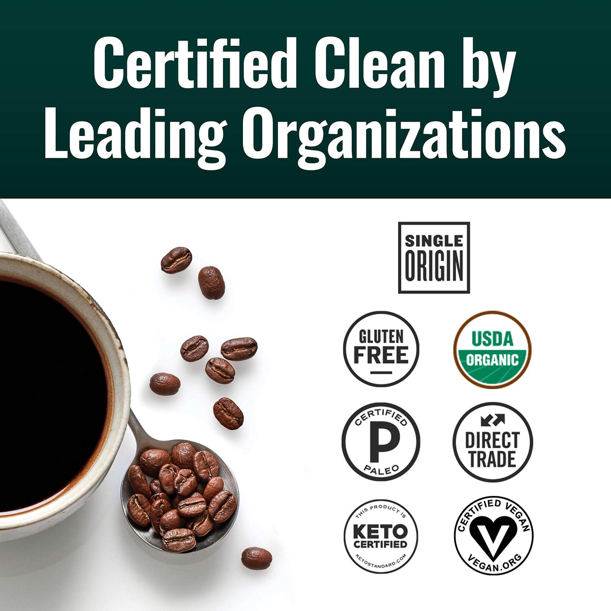 Natural Force Founder's Select Organic Mold Free Coffee – High CGA, Low Acidity, Whole Bean Dark Roast 12 oz