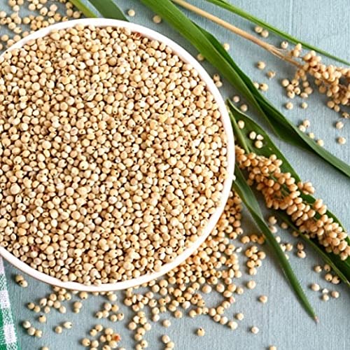 Nature Nate's Popped Sorghum with Coconut Oil & Pink Himalayan Sea Salt – Organic, Keto & Gluten Free (1.7 oz x 6)