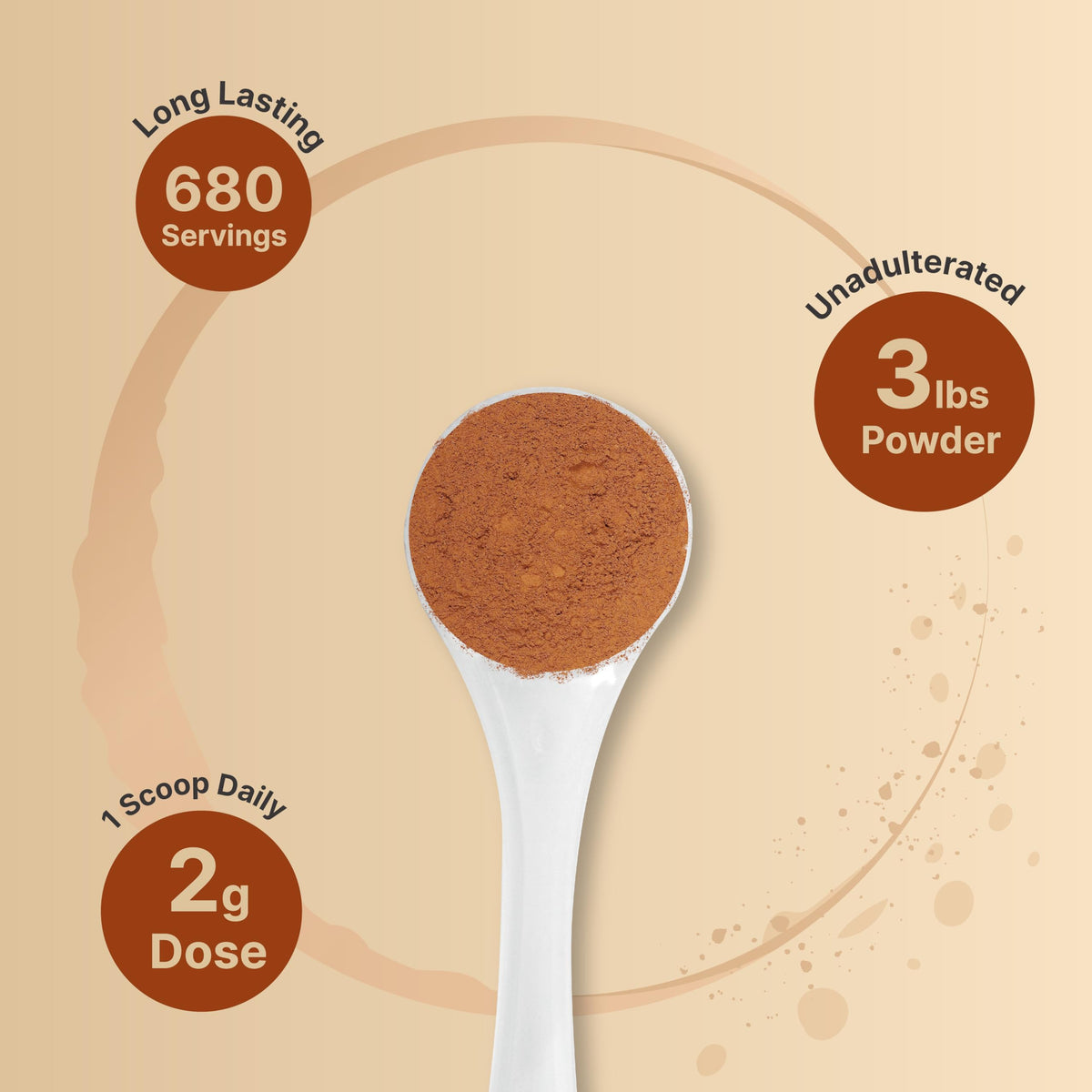 NatureBell Organic Ceylon Cinnamon Powder – 3lbs | True Sri Lanka Bark Source, Freshly Ground, Non-GMO, Gluten-Free