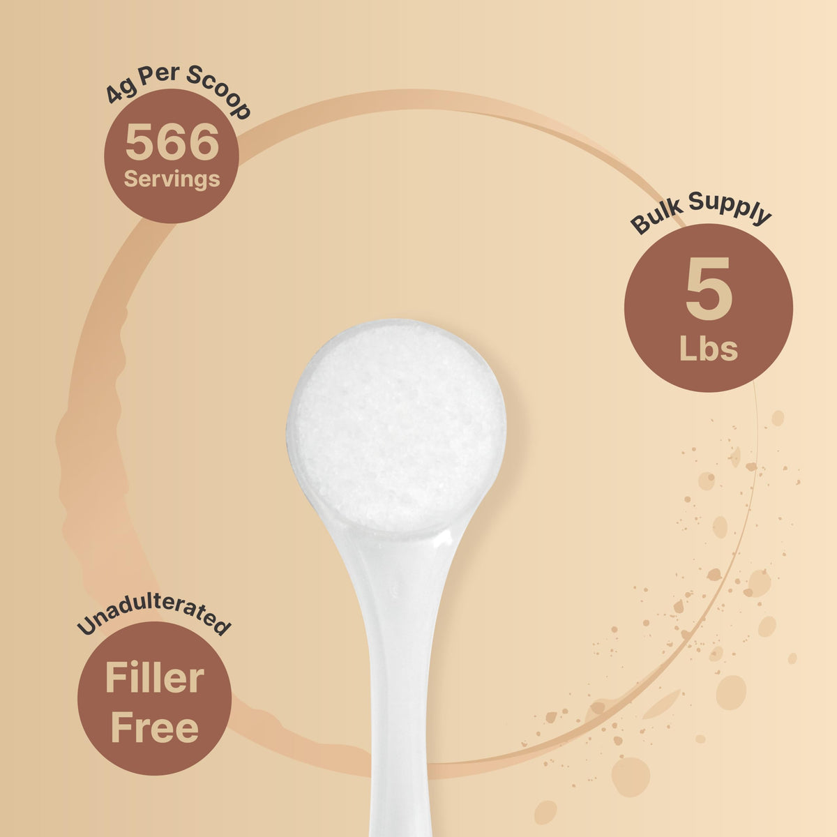 NatureBell Xylitol Sweetener 5lb — 1:1 Sugar Substitute, No Erythritol