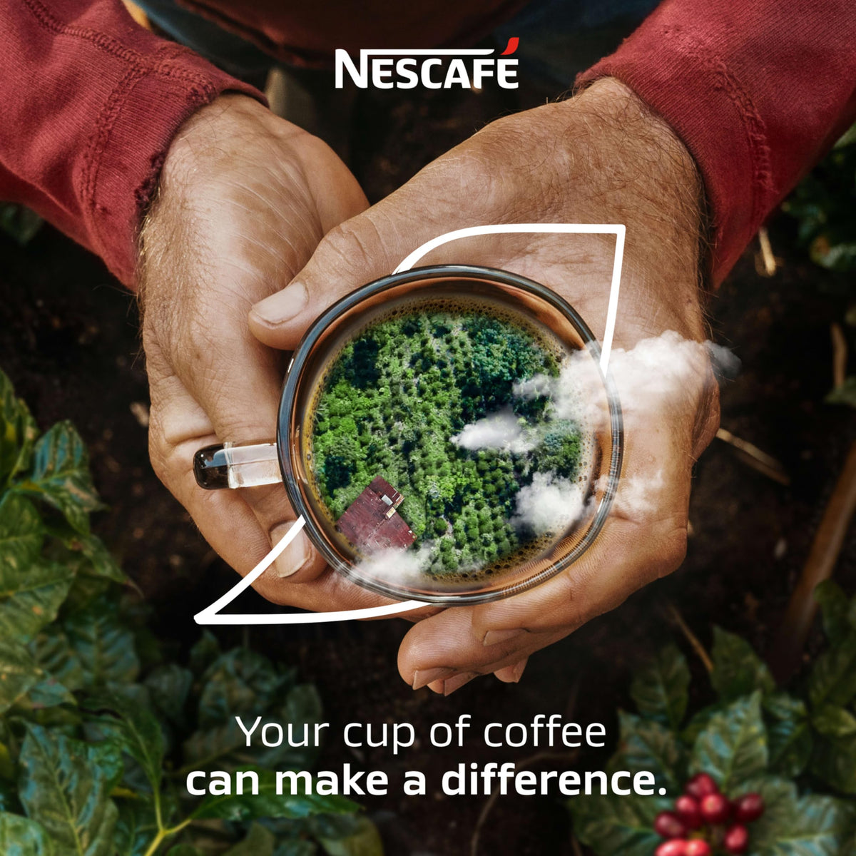 NESCAFE Taster's Choice Light Roast Instant Coffee Bulk Pack - 1000 Single-Serve Sticks
