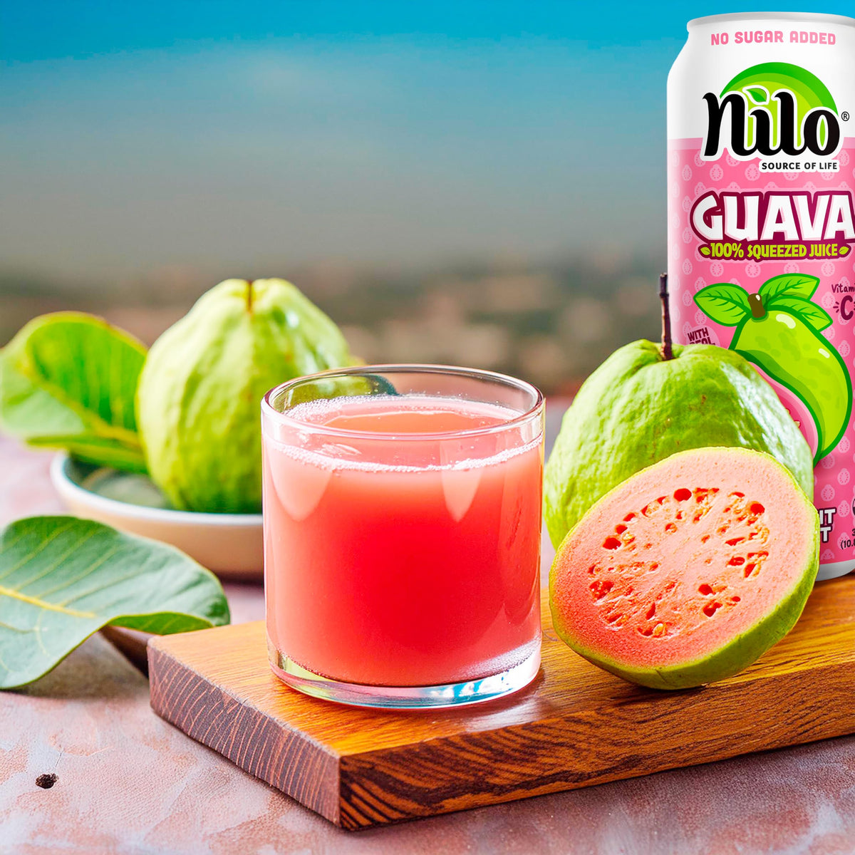 NILO Guava Juice | 100% Pink Guava, No Sugar Added, Not From Concentrate | 10.8 oz (Pack of 12)