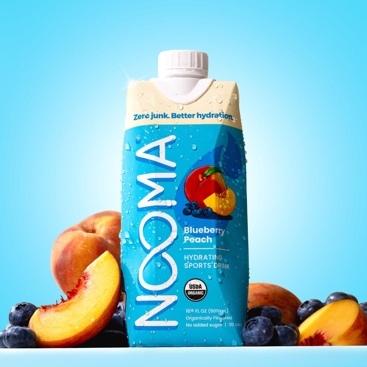 NOOMA Hydrating Sports Drink – Organic Coconut Water, No Added Sugars, Blueberry Peach – 12 Pack, 16.9oz Each