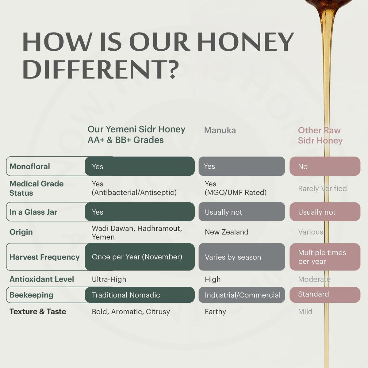 Now This Is Honey: Raw Yemeni Sidr Honey AA+ Grade | 10oz Glass Jar
