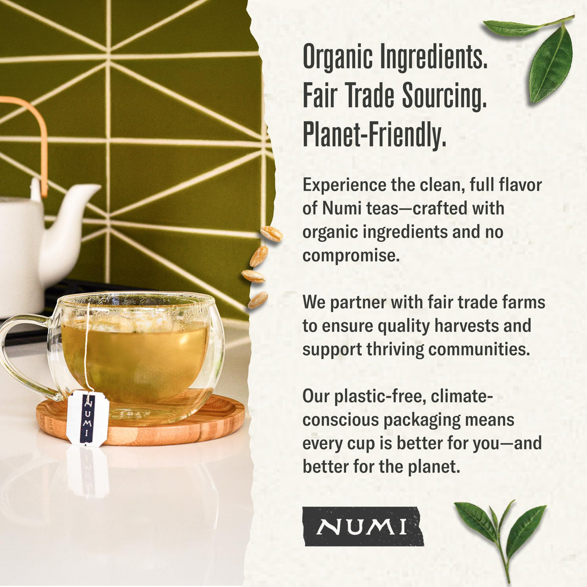 Numi Organic Matcha Toasted Rice Tea – 100 Tea Bags | Genmaicha with Matcha