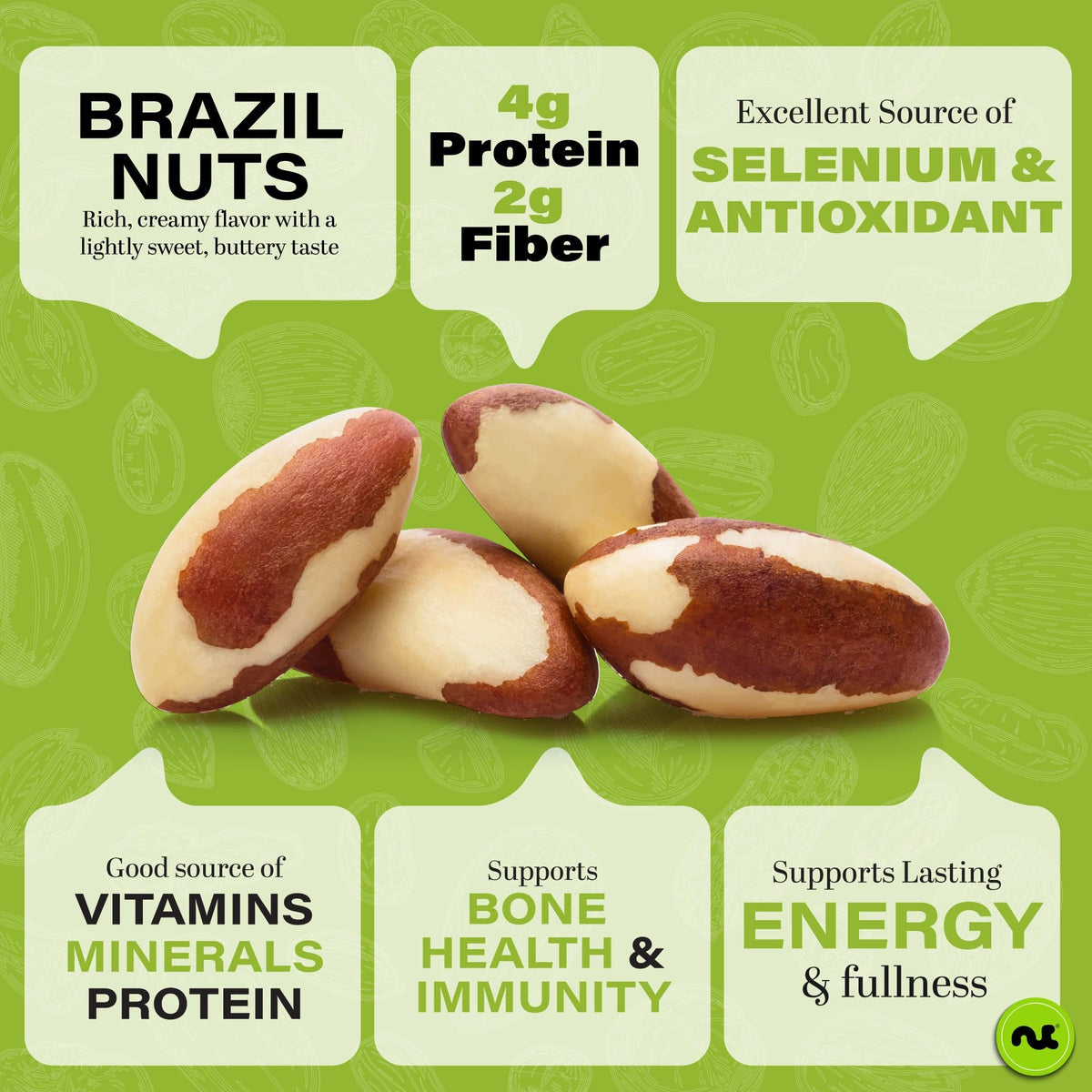 Nut Cravings Brazil Nuts Roasted & Unsalted — No Shell, Whole (16oz) | Fresh Resealable Bag