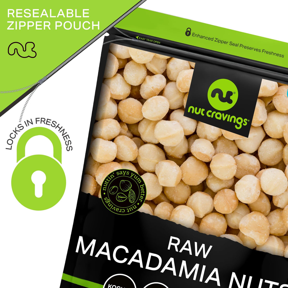 Nut Cravings Raw Macadamia Nuts – Unsalted & Shelled (32oz Bulk, 2 lb) | Kosher
