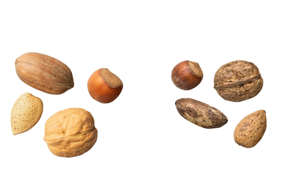 Nuts.com Mixed Nuts in Shell - 3 lb Bag (No Brazil Nuts) | Walnuts, Hazelnuts, Pecans, Almonds