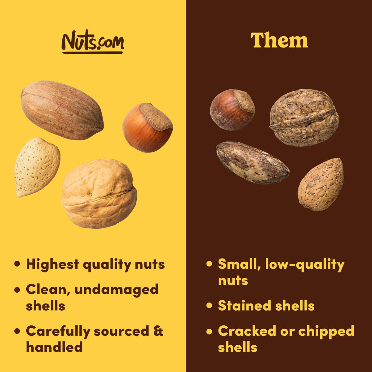 Nuts.com Mixed Nuts in Shell - 3 lb Bag (No Brazil Nuts) | Walnuts, Hazelnuts, Pecans, Almonds