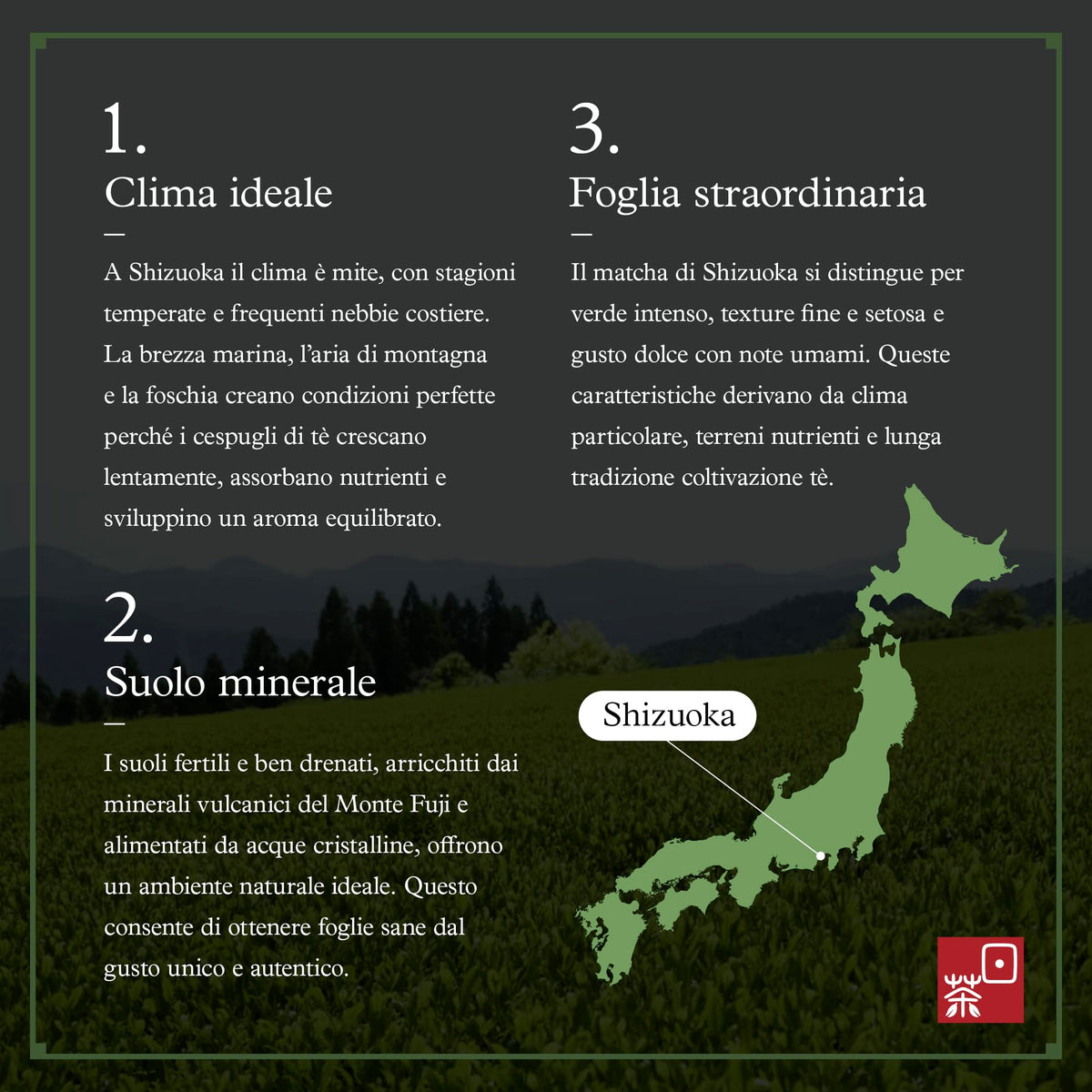 Ocha & Co. Itsumo Matcha Classic Grade - First-Harvest Japanese Matcha Powder 100g