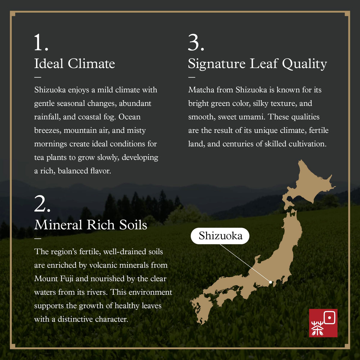 Ocha & Co. Shizuoka Organic Matcha — Ceremonial Grade, JAS BIO Certified, First-Harvest, Stone-Milled, 100g