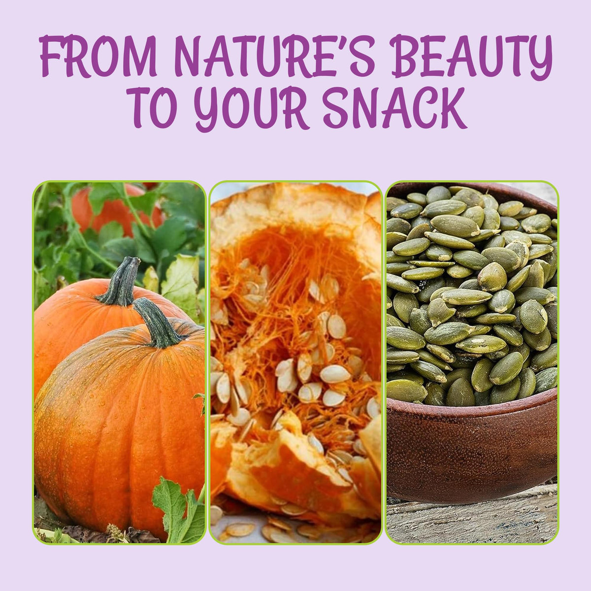 Oh! Nuts Pumpkin Seeds - Roasted & Salted Pepitas (No Shell) 3 lb Zip-Seal Bag for Freshness