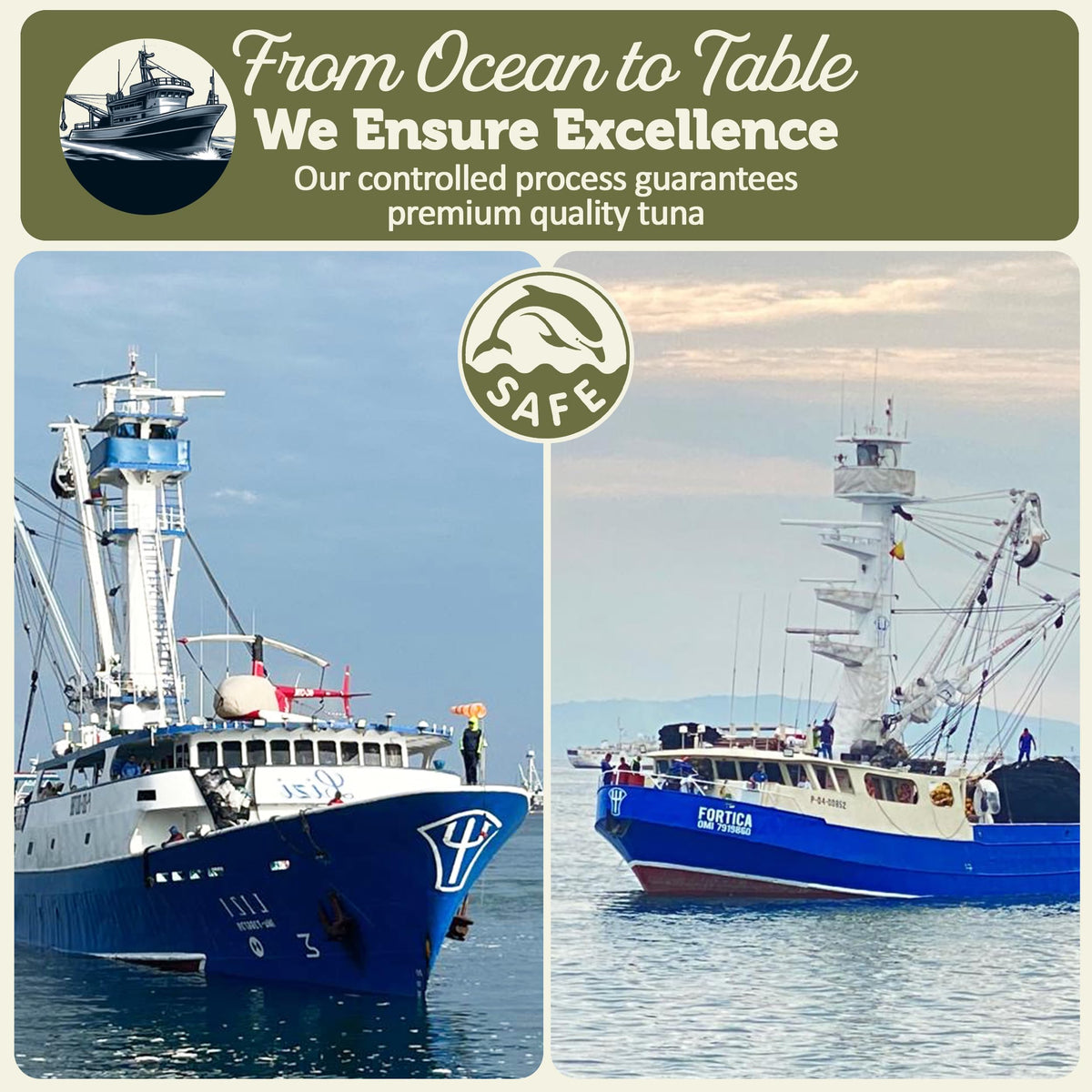 ONBOARD Premium Yellowfin Tuna in Olive Oil – 12-Pack, Sustainably Wild-Caught, Gluten-Free, 24g Protein