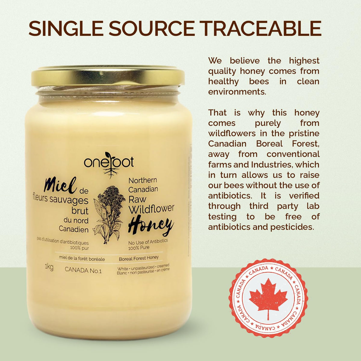 OneRoot 100% Canadian Wildflower Honey - 1kg, Unheated & Creamed, Raw & Pure