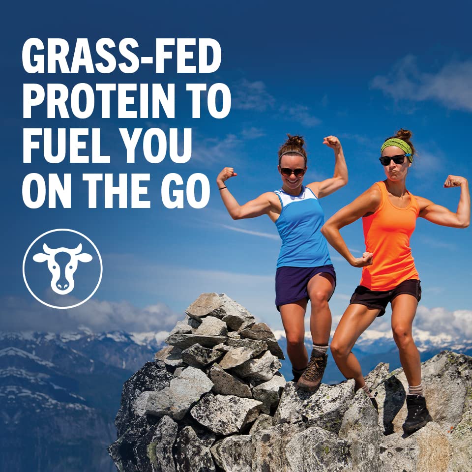 Orgain Clean Protein Shake Vanilla Bean – Grass-Fed Dairy, 20g Protein, Ready to Drink