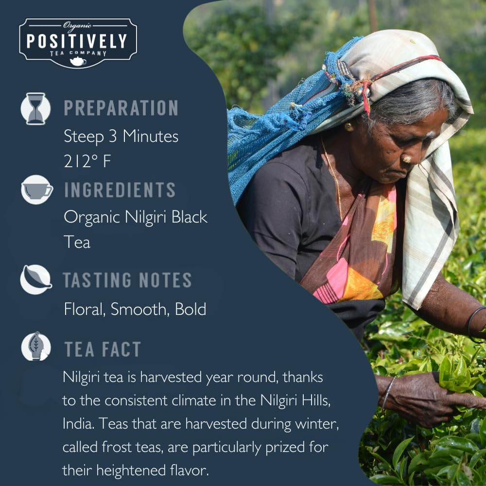 Organic Positively Tea Company Nilgiri FBOP Black Tea — Loose Leaf, 16 oz
