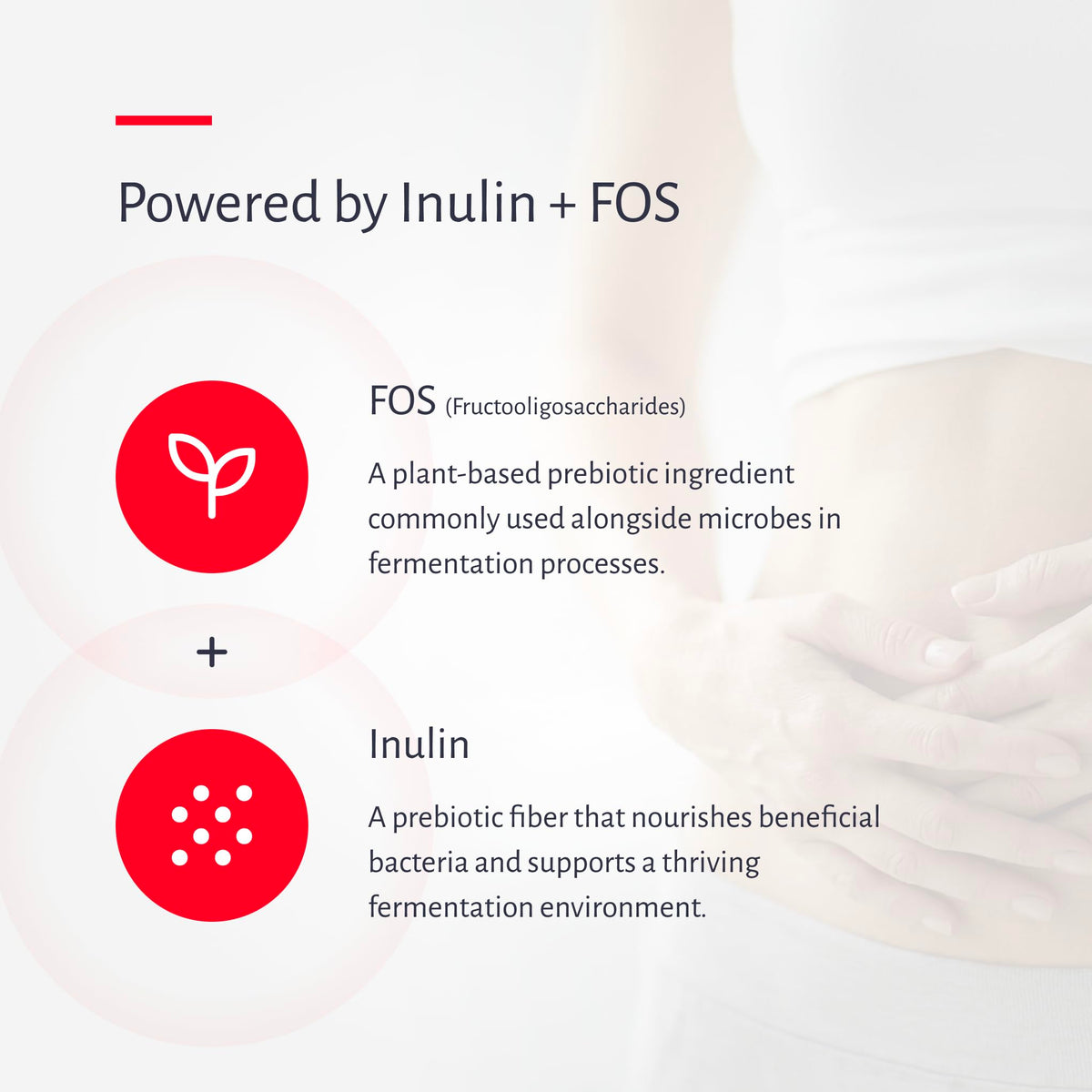 MyReuteri Complete Starter Culture – LRDR Probiotic + 13 g Prebiotic (FOS/Inulin) | Oxiceutics