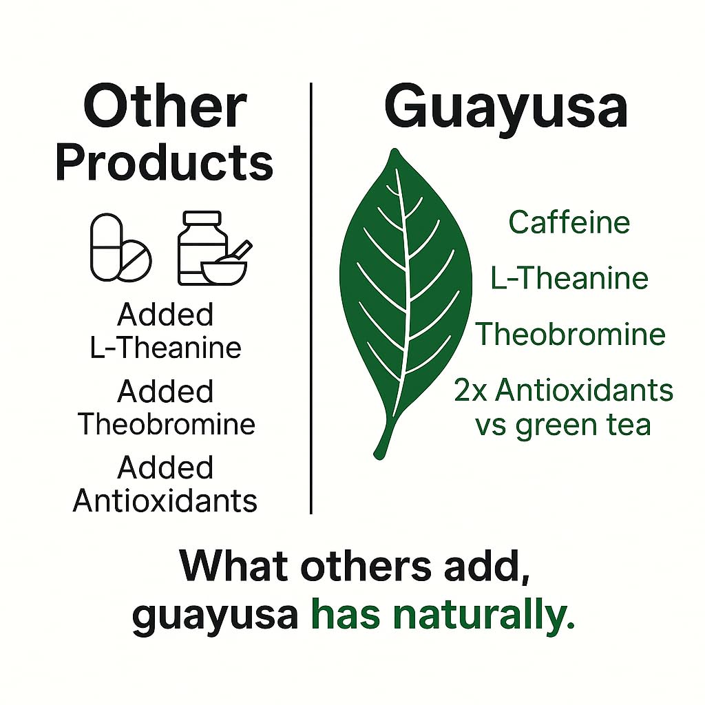 Pacha Ancient Energy Guayusa Tea - 32oz Organic Loose Leaf, 66 mg Caffeine + L-Theanine | Single Origin Ecuador