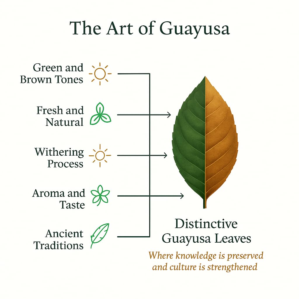 Pacha Ancient Energy Guayusa Tea - 32oz Organic Loose Leaf, 66 mg Caffeine + L-Theanine | Single Origin Ecuador