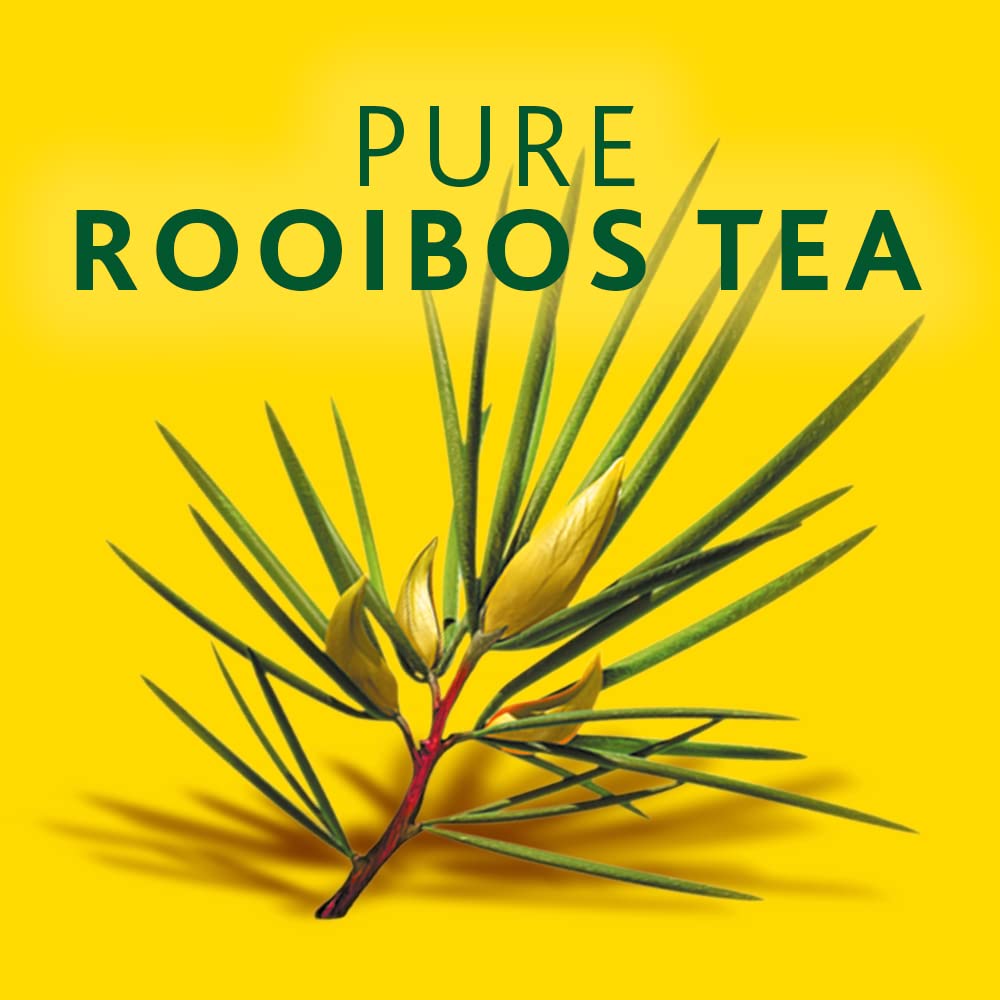 Freshpak Pure Rooibos Tea — 4 Pack, 80 Tagless Tea Bags Each | PakFresh