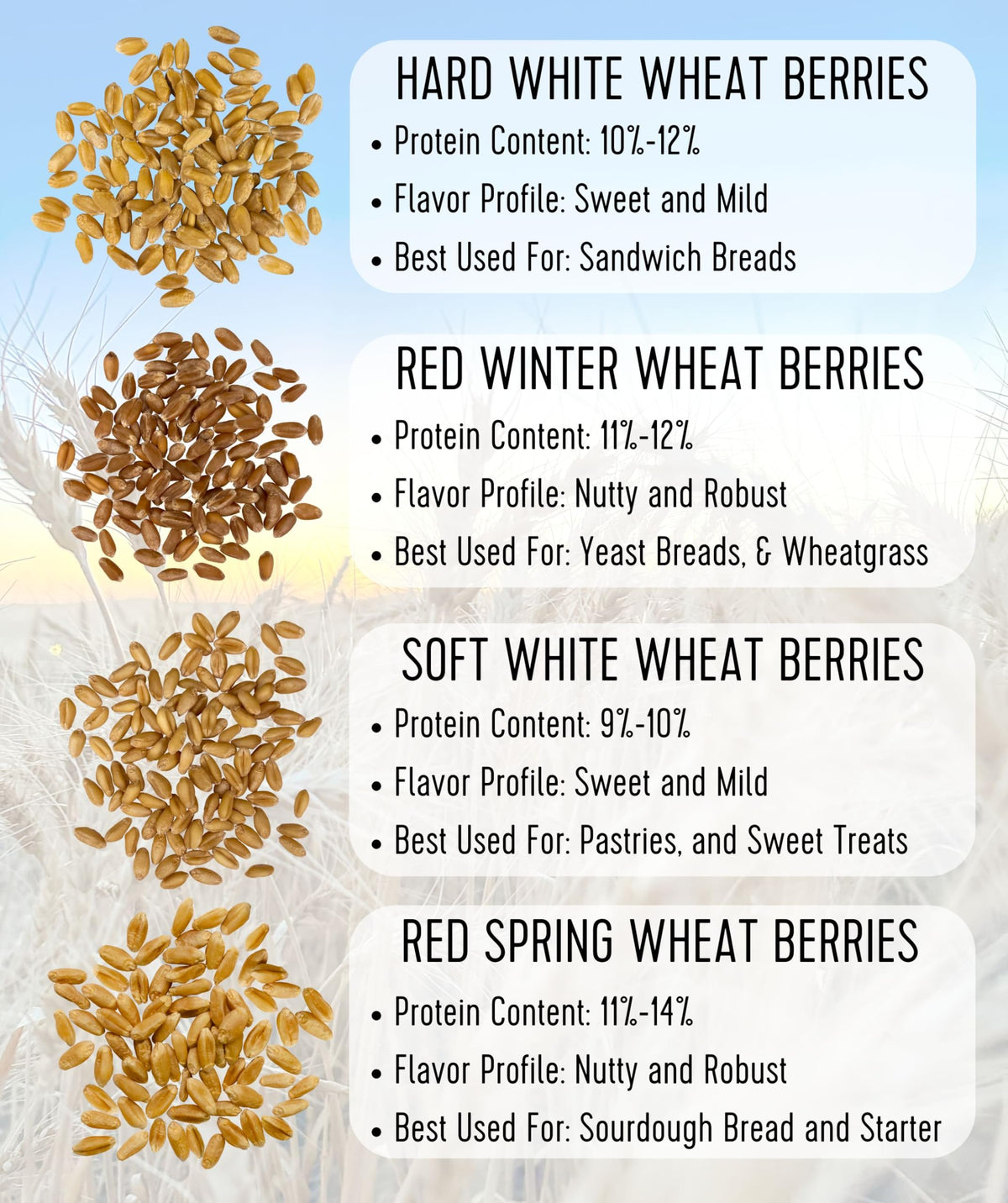 Palouse Brand Certified Glyphosate Residue Free Hard Red Spring Wheat Berries – 25 LBS | Sproutable, Non-GMO Project Verified, Kosher
