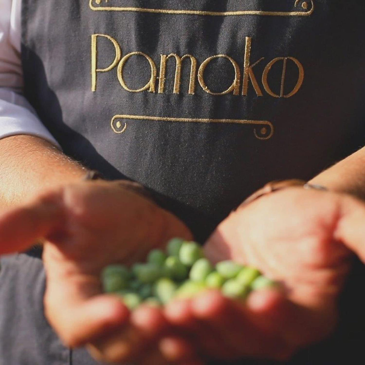 Pamako Ultra-Premium Monovarietal Mountain Organic EVOO | Cold-Pressed Greek Olive Oil 2090 mg/kg | New Harvest 2025/26 | 500 ml