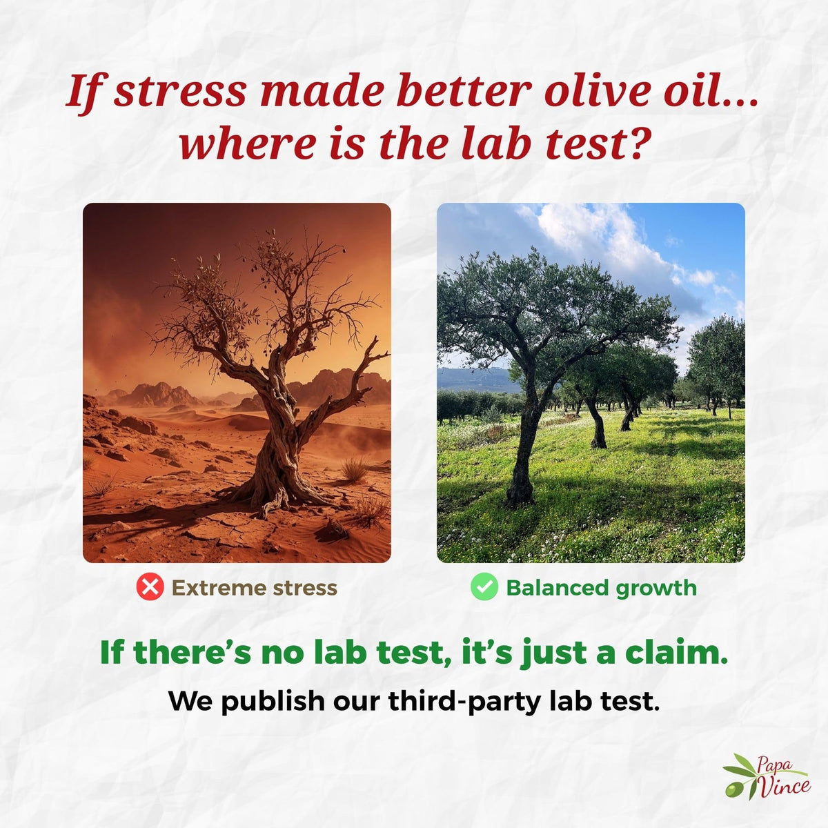 Papa Vince Hydroxytyrosol Olive Oil – Lab-Tested Polyphenols, First Cold Press, Sicilian Harvest 2024/25