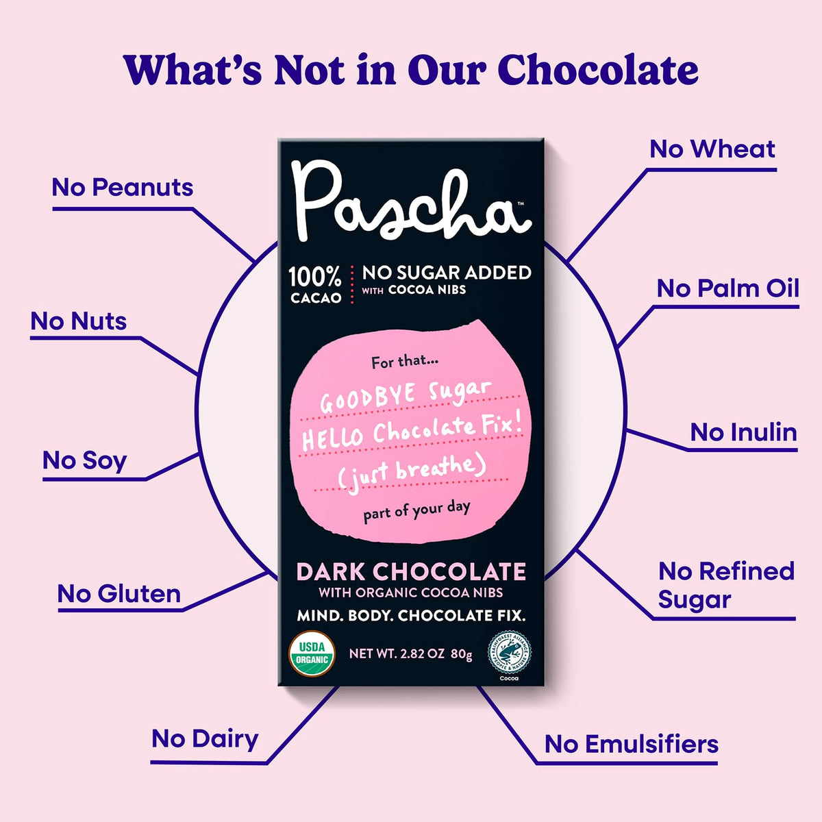 Pascha 100% Cacao Dark Chocolate with Cocoa Nibs – Organic, Gluten Free, Non-GMO, Sugar Free, Pack of 10 (2.82 oz each)