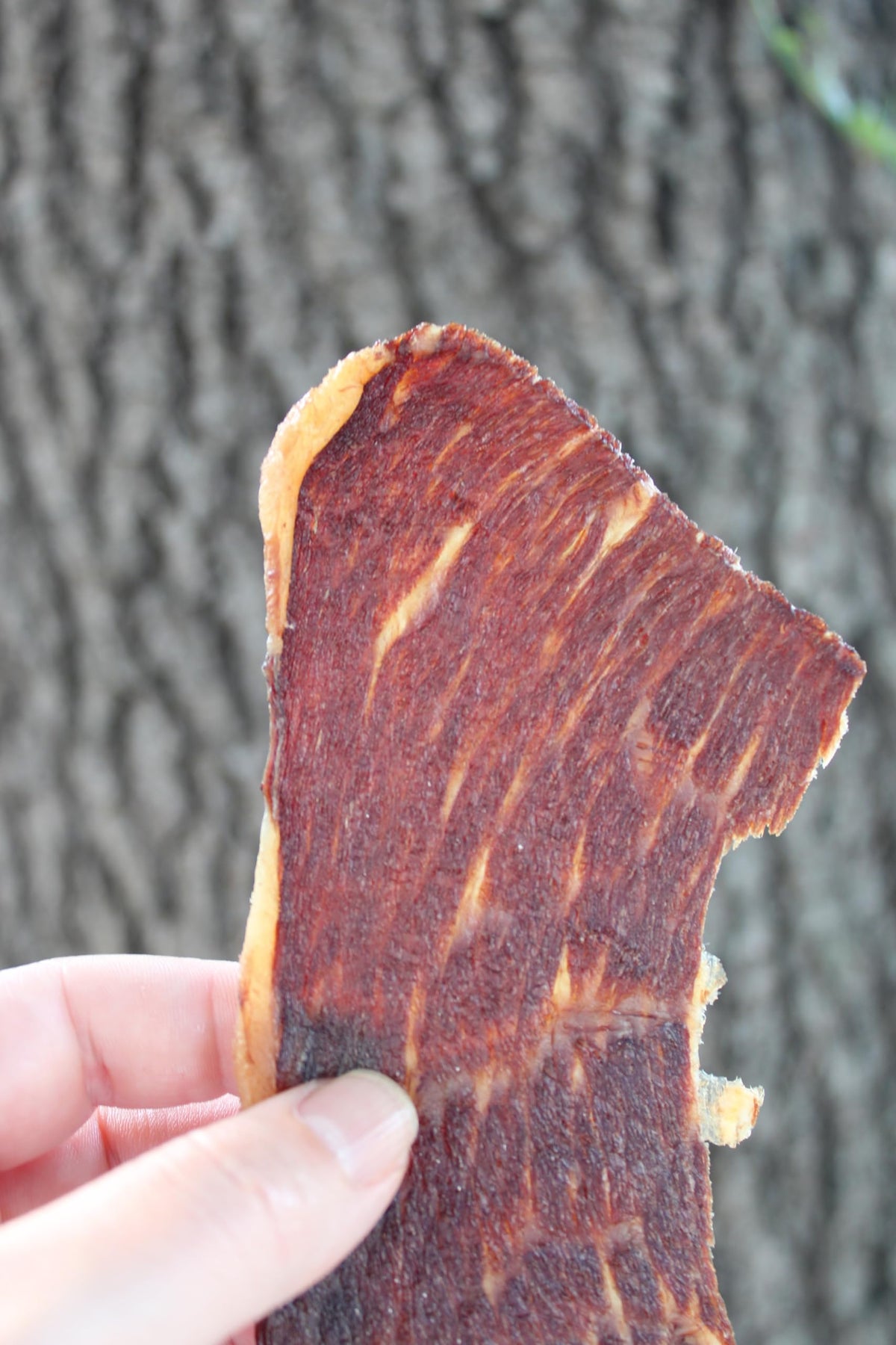 PHILLIPS BEEF CRISPS Beef Round – Lean, On-The-Go Snack