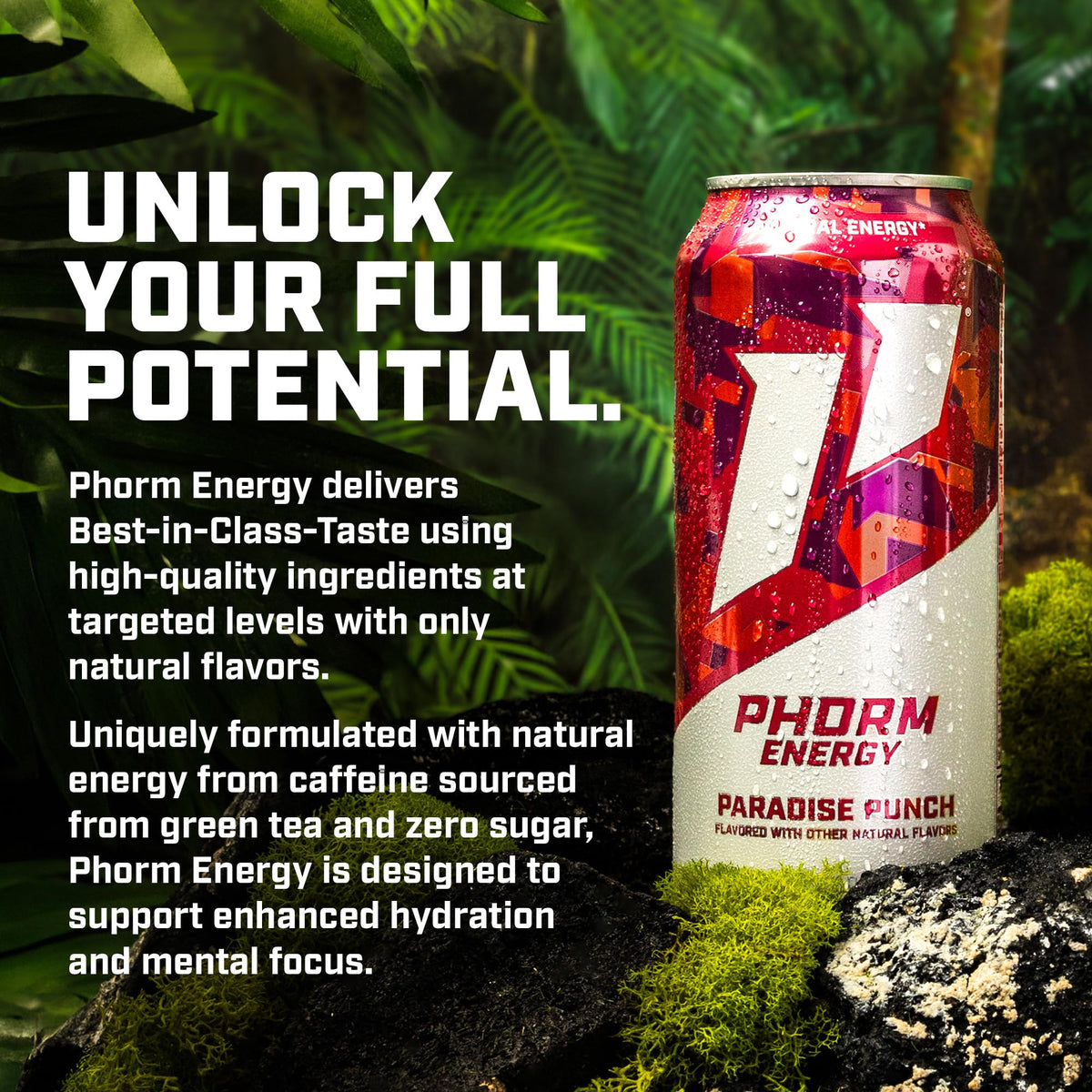 PHORM ENERGY Paradise Punch – Sugar Free Caffeine Drink, 200 mg Green Tea Caffeine, 16 oz