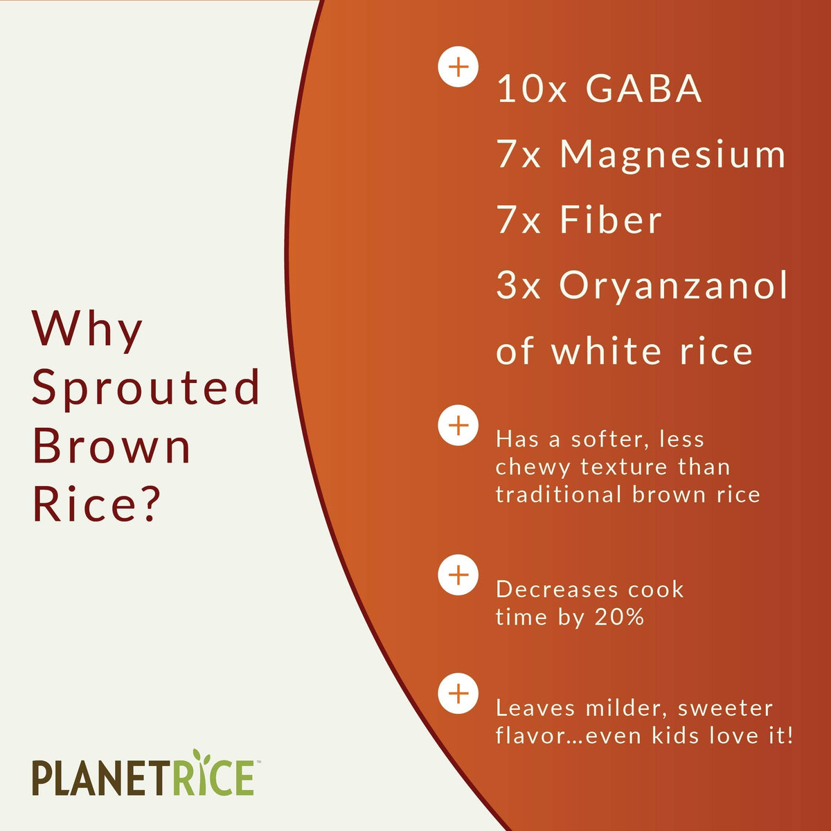 Planet Rice Bulk Sprouted Brown Rice – 64% More Fiber, Gluten-Free, Vegan, 22 oz x 6