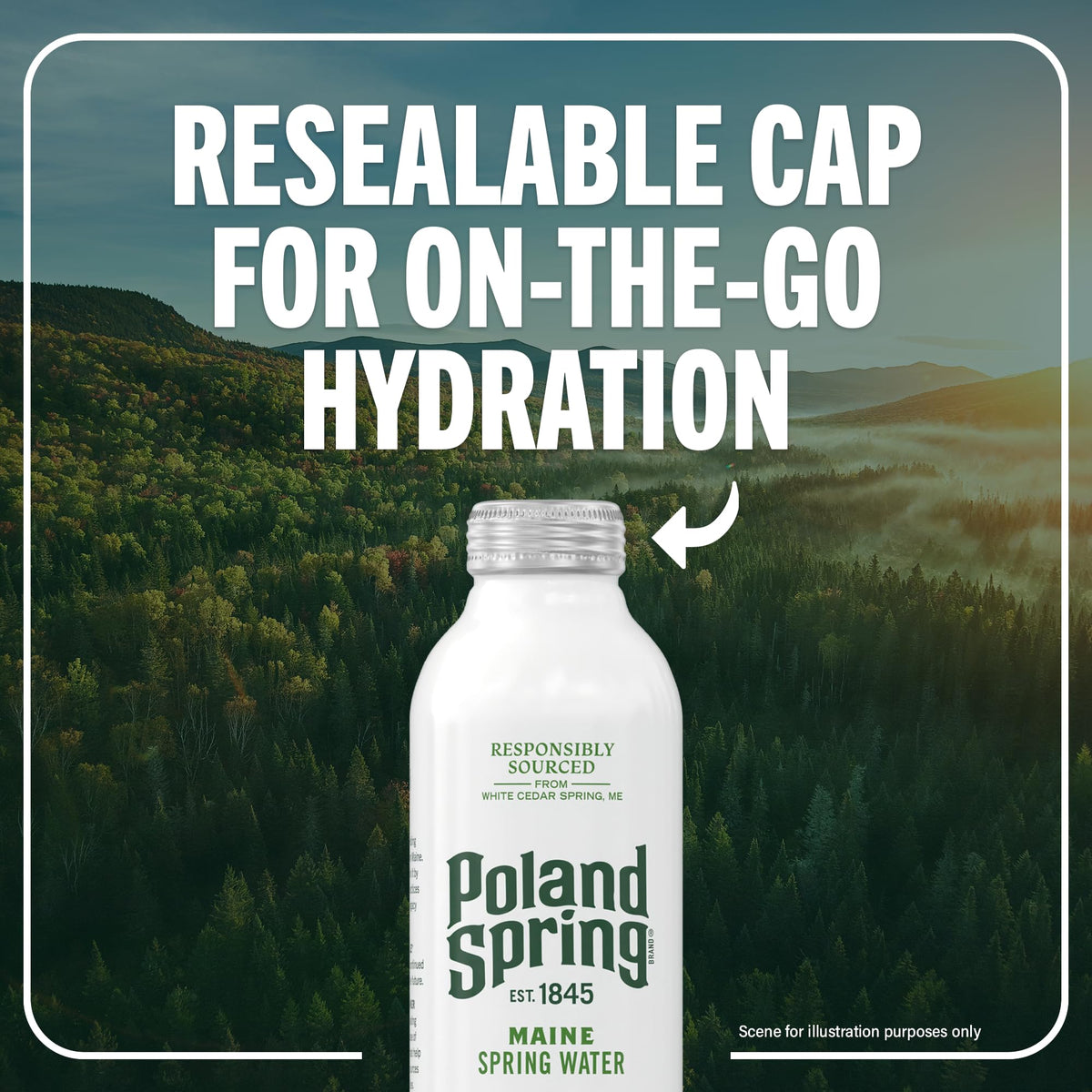 Poland Spring Maine Spring Water Aluminum Bottle – 25 oz Still Water with Naturally Occurring Minerals, 12 Pack