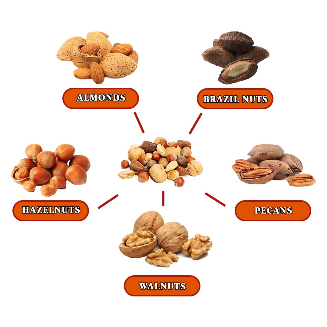 Presto Sales Mixed Nuts in Shell 160 oz | Fresh Raw Unsalted Nut Mix with Brazil Nuts, Hazelnuts, Walnuts, Almonds & Pecans | 10 lb Box