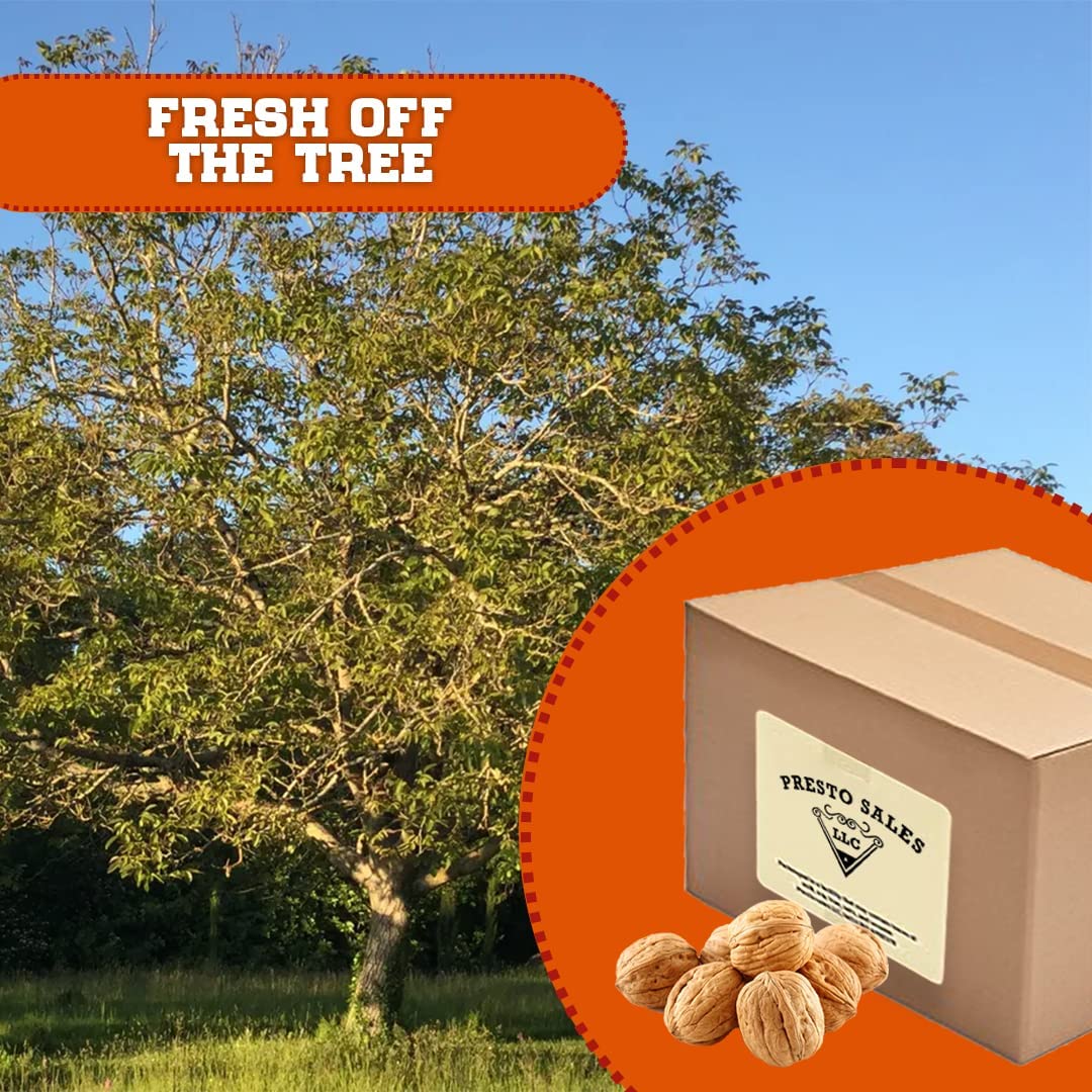 Presto Sales Walnuts in Shell – Hartley Choice, Low-Carb & High-Protein, 5 lb Box