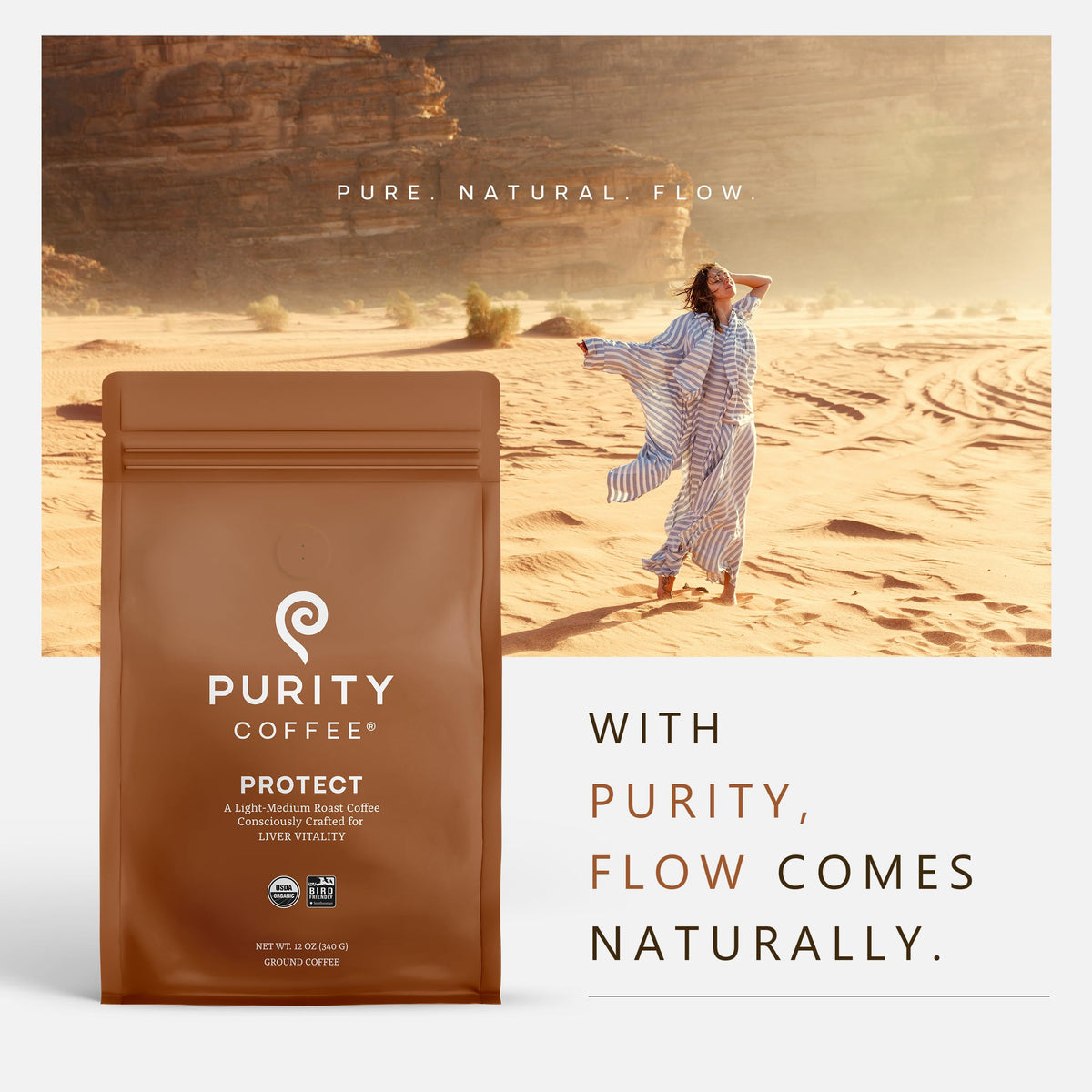 Purity Coffee PROTECT | High Antioxidant Light-Medium Roast Ground 12oz | USDA Organic Arabica | Mold, Mycotoxin & Pesticide Tested