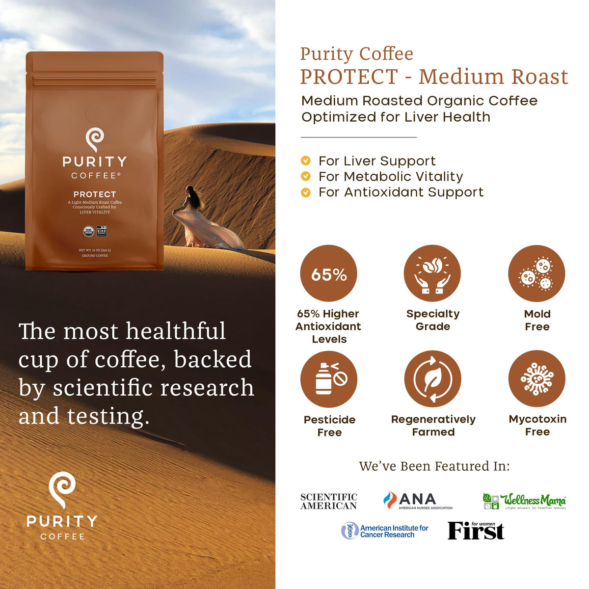 Purity Coffee PROTECT | High Antioxidant Light-Medium Roast Ground 12oz | USDA Organic Arabica | Mold, Mycotoxin & Pesticide Tested
