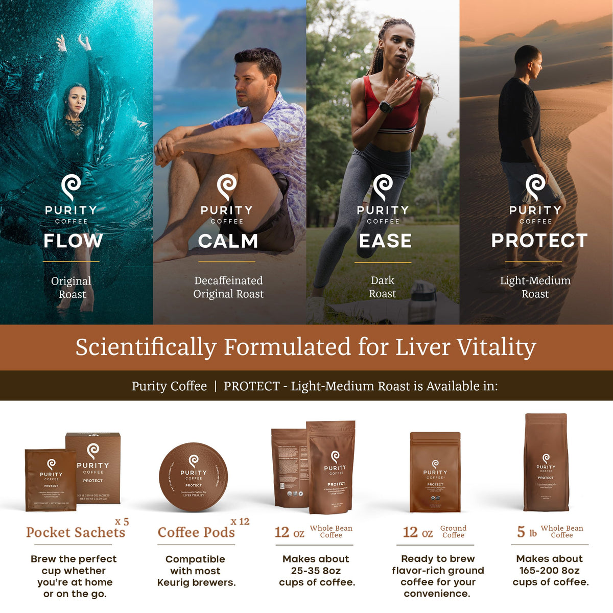 Purity Coffee PROTECT | High Antioxidant Light-Medium Roast Ground 12oz | USDA Organic Arabica | Mold, Mycotoxin & Pesticide Tested