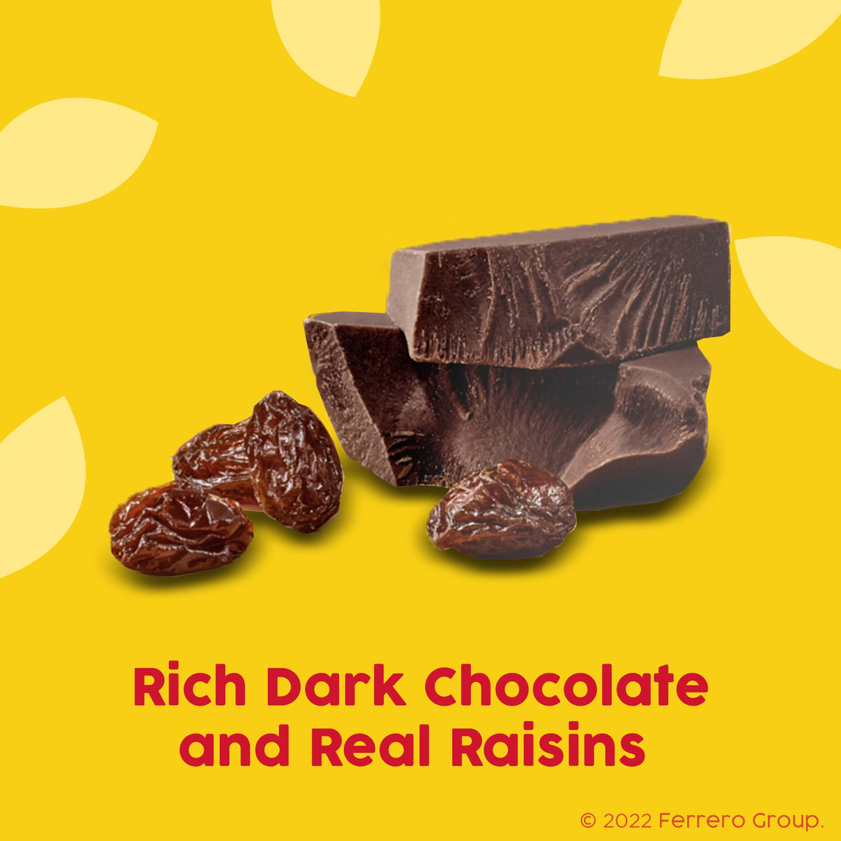Raisinets Dark Chocolate Covered California Raisins, 8 oz Resealable Bag, Bulk 8-Pack