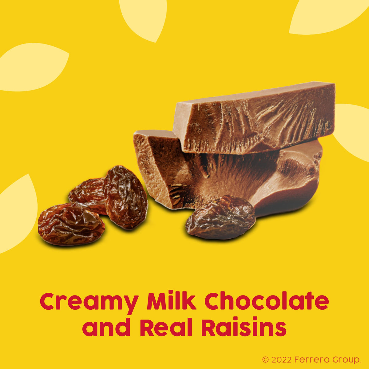 Raisinets Milk Chocolate Covered California Raisins – 8.0 oz Resealable Bag | Bulk 8-Pack
