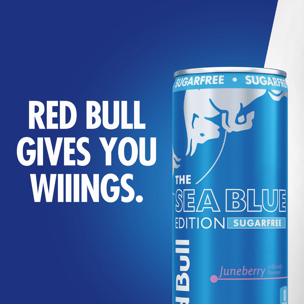 Red Bull Sea Blue Edition Sugar-Free Energy Drink – Juneberry, 80 mg Caffeine, 24-Can Pack