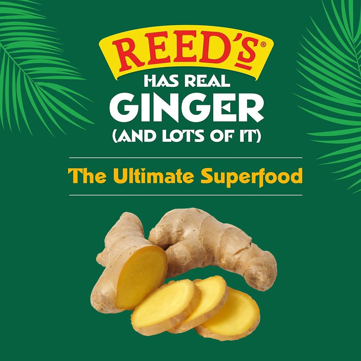Reed's All Natural Ginger Chews – Vegan, Gluten-Free Ginger Candy (2oz Box, Pack of 20)