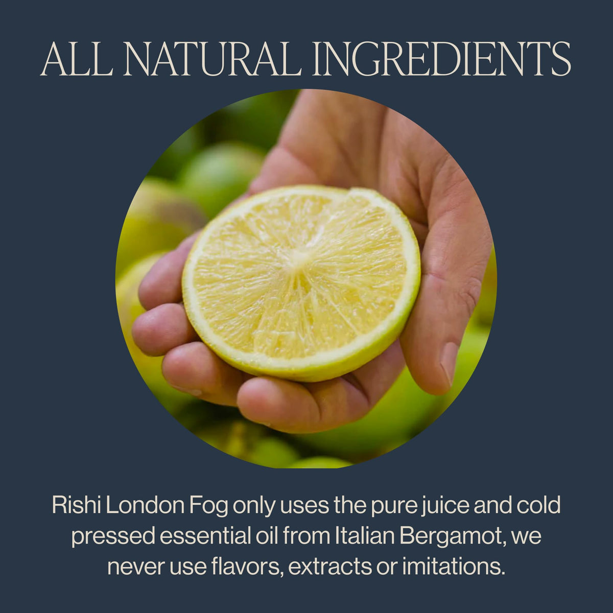 Rishi Tea London Fog Latte – Organic Black Tea Concentrate with Bergamot | Easy Hot or Iced Earl Grey Mix | 32 fl oz Carton (Pack of 3)