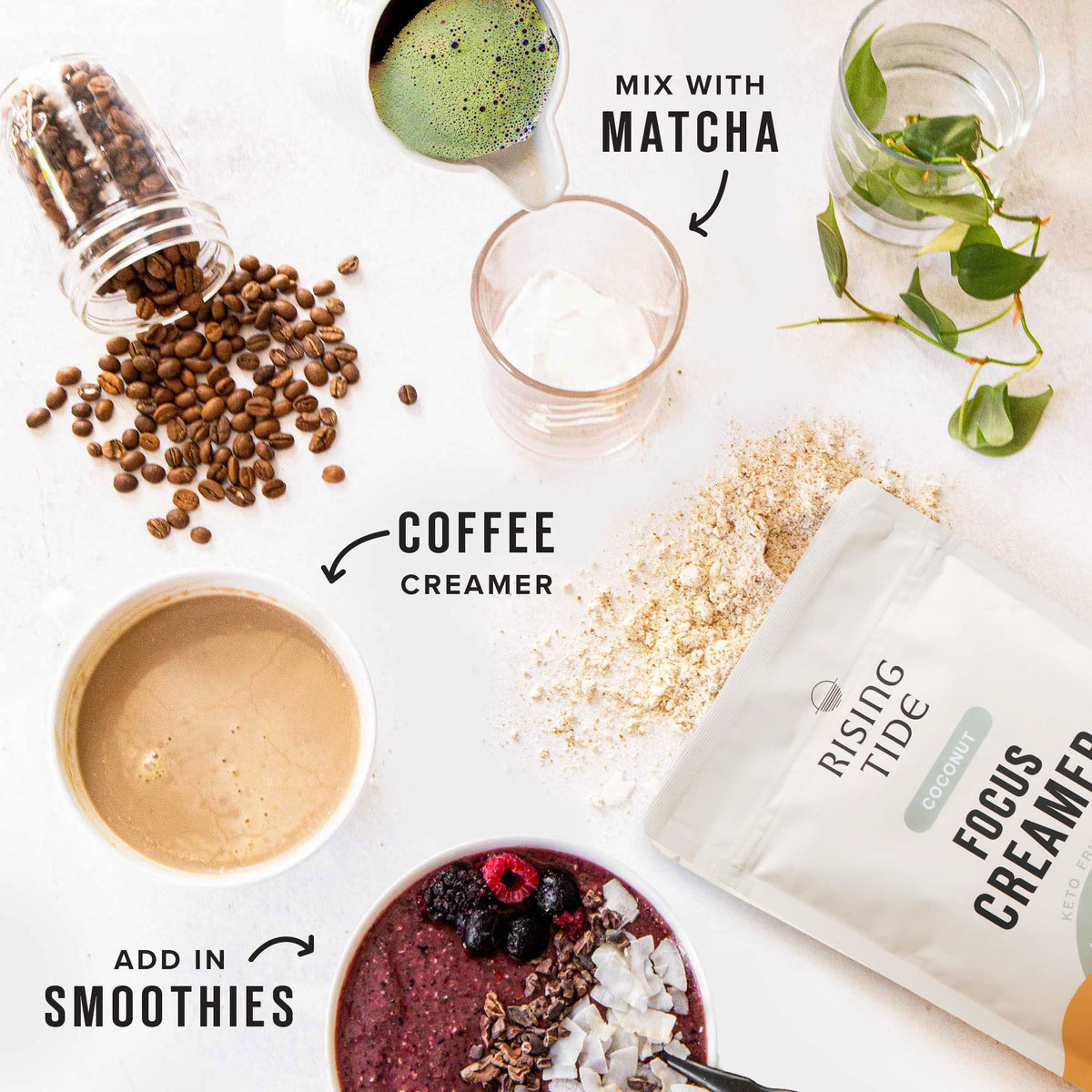 Rising Tide Organic Mushroom Creamer - Dairy Free, Unsweetened, Lions Mane and MCT - Only 4 Ingredients