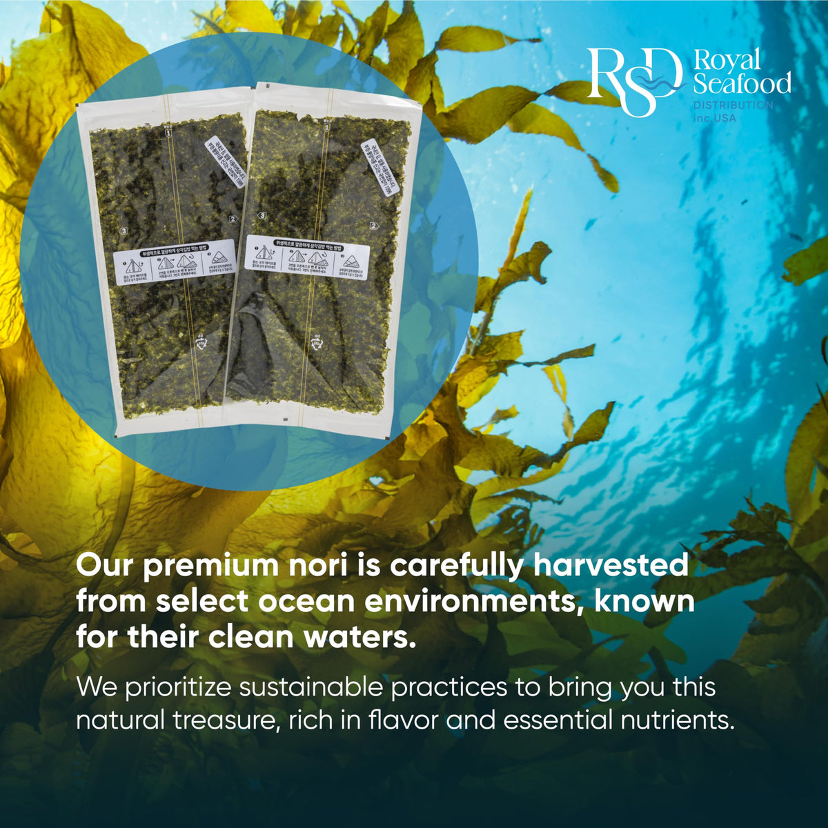 Royal Seafood Distribution RSD Onigiri Seaweed Sheets – 100 Premium Roasted Nori for Sushi & Onigiri