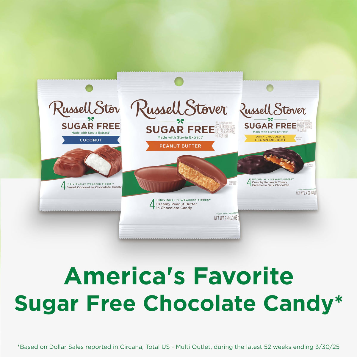 Russell Stover Sugar Free Peanut Butter Cups – 2.4 oz Bag (Pack of 10)
