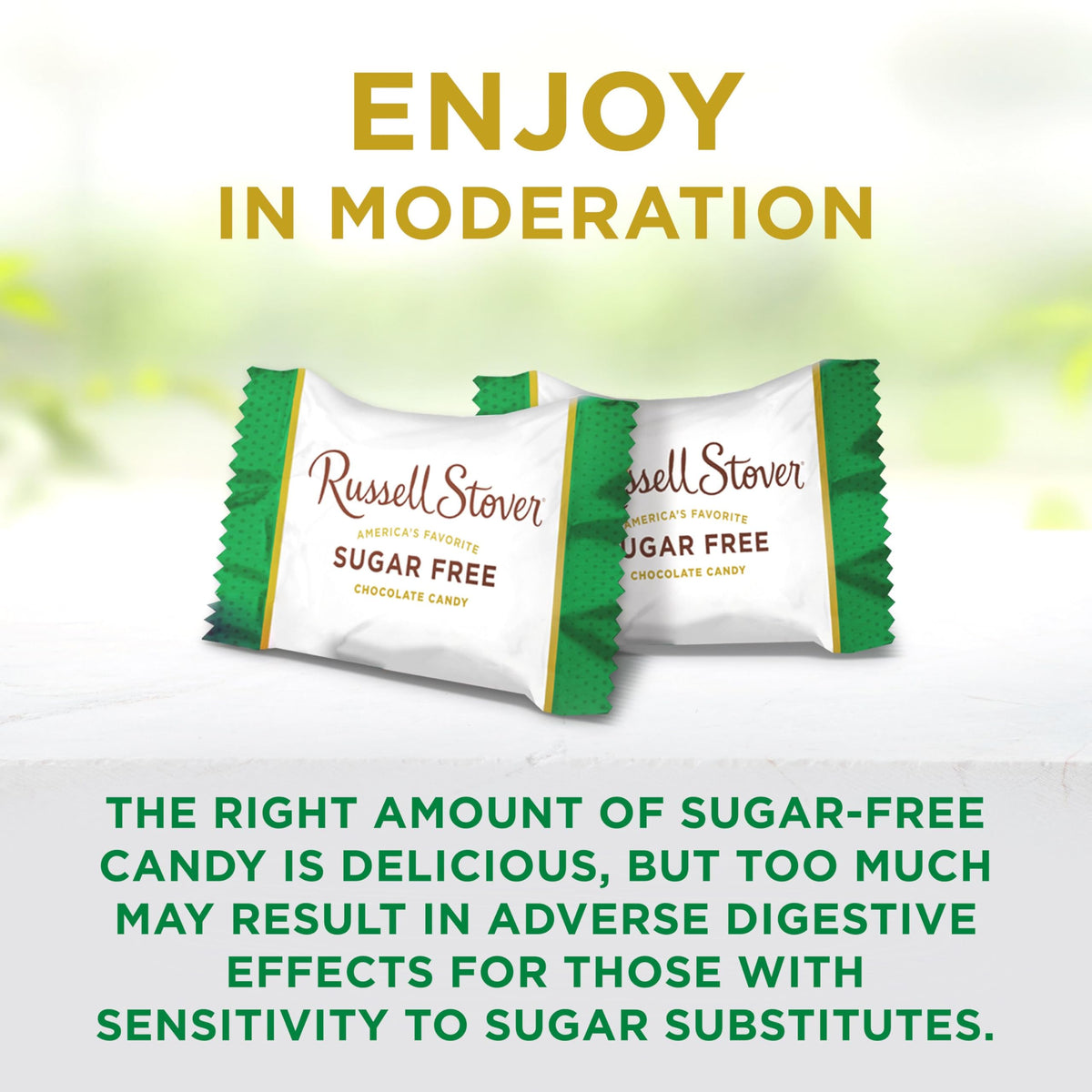 Russell Stover Sugar Free Peanut Butter Cups – 2.4 oz Bag (Pack of 10)